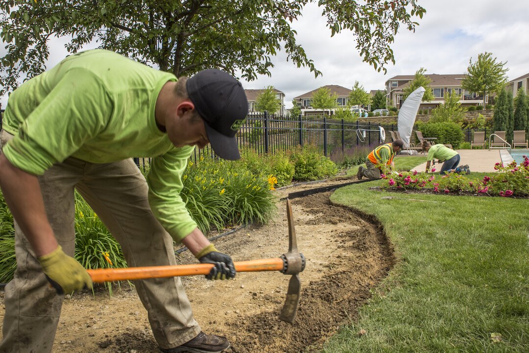 Workers landscaping garden with tools and plants.