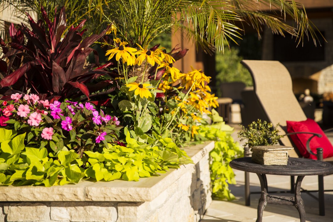 Colorful garden with flowers and outdoor furniture.