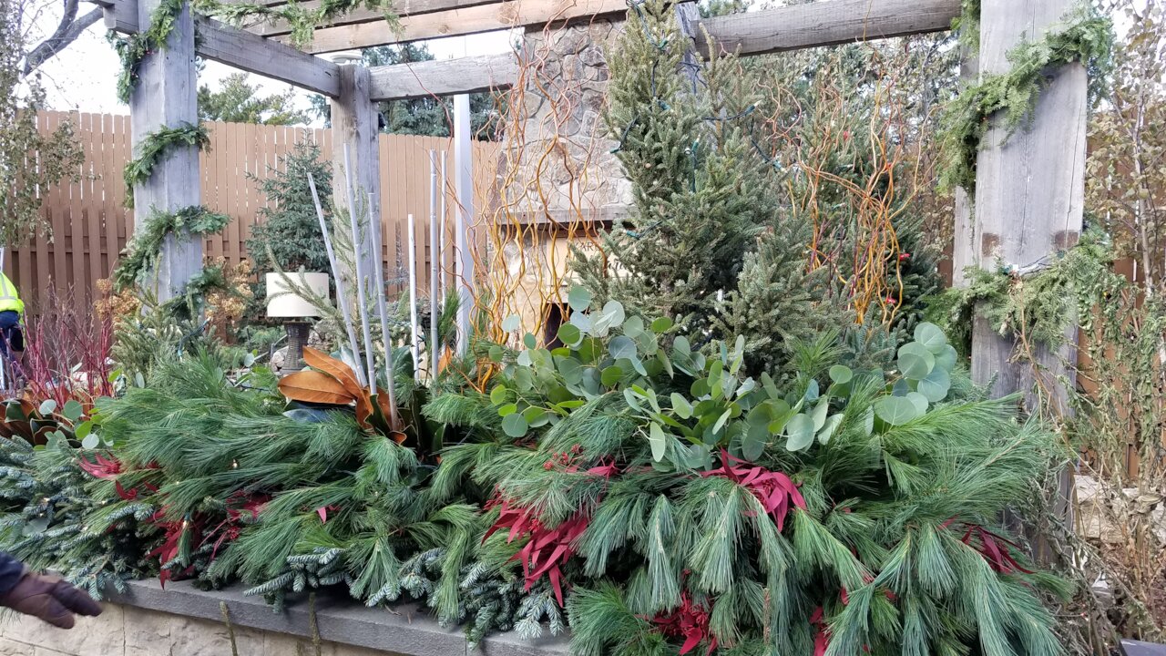Indoor garden with diverse greenery and trees.