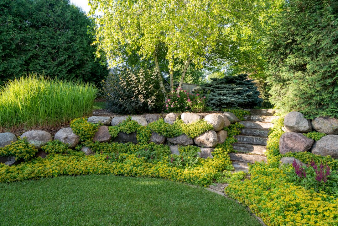 Rock garden with steps and lush greenery