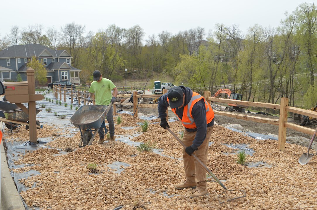 Workers landscaping with rocks and wheelbarrows.
