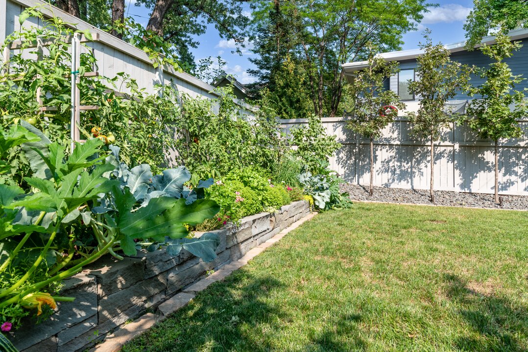 Lush backyard garden with raised beds and lawn