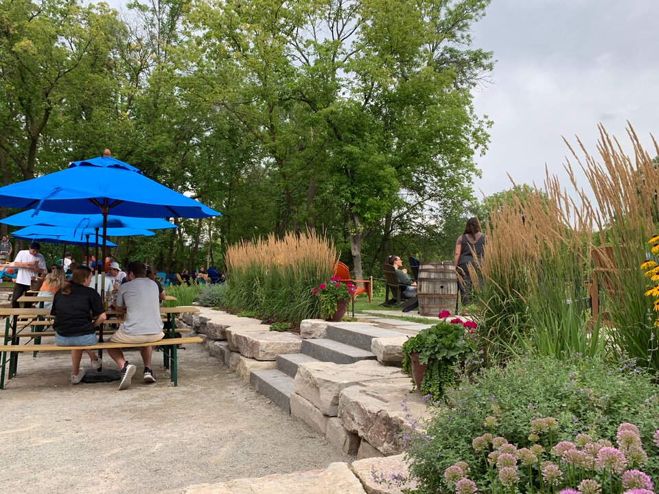 People relaxing outdoors with blue umbrellas and greenery.