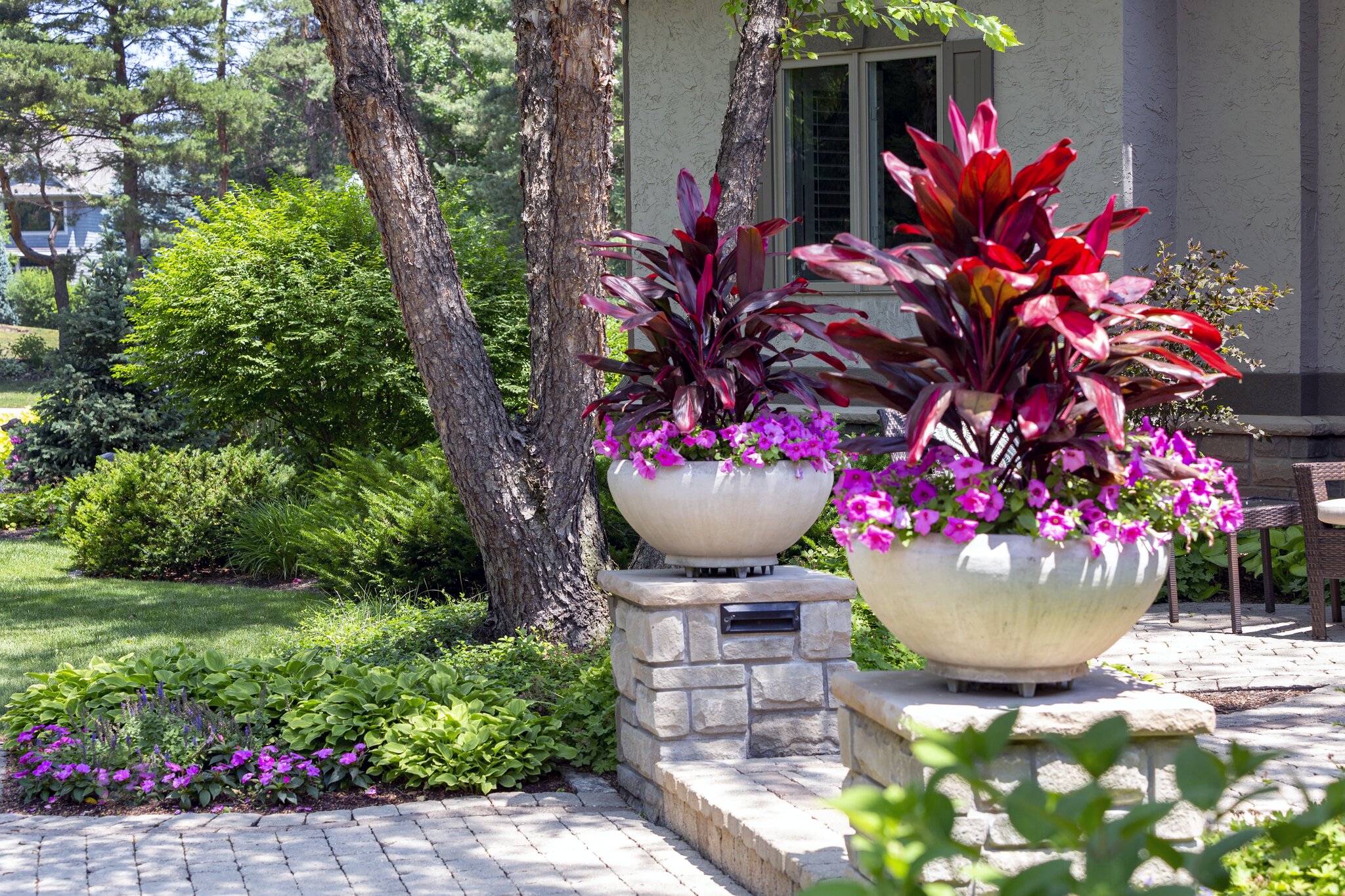 Colorful garden plants in large stone planters.