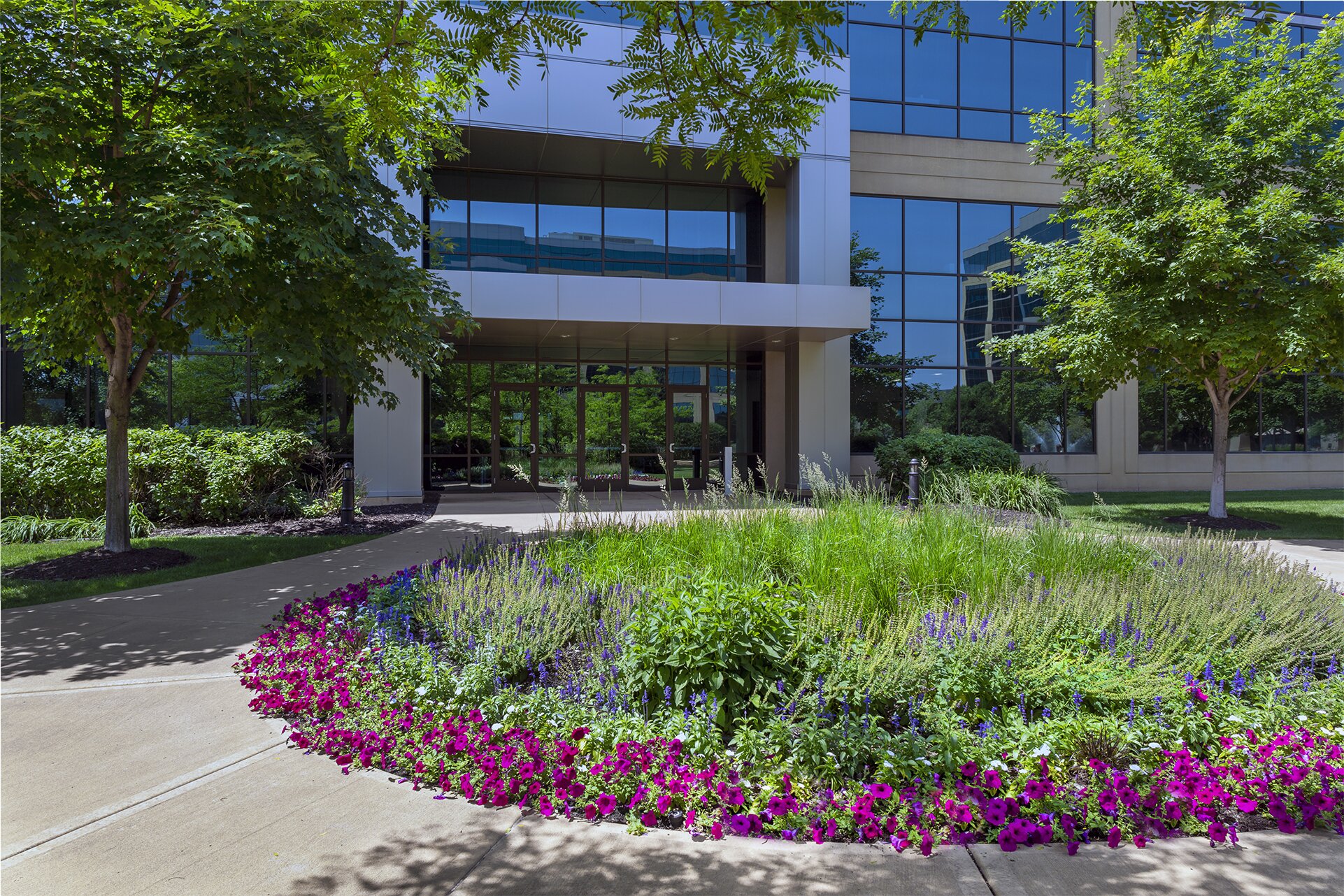 Office building entrance with landscaped garden and flowers.