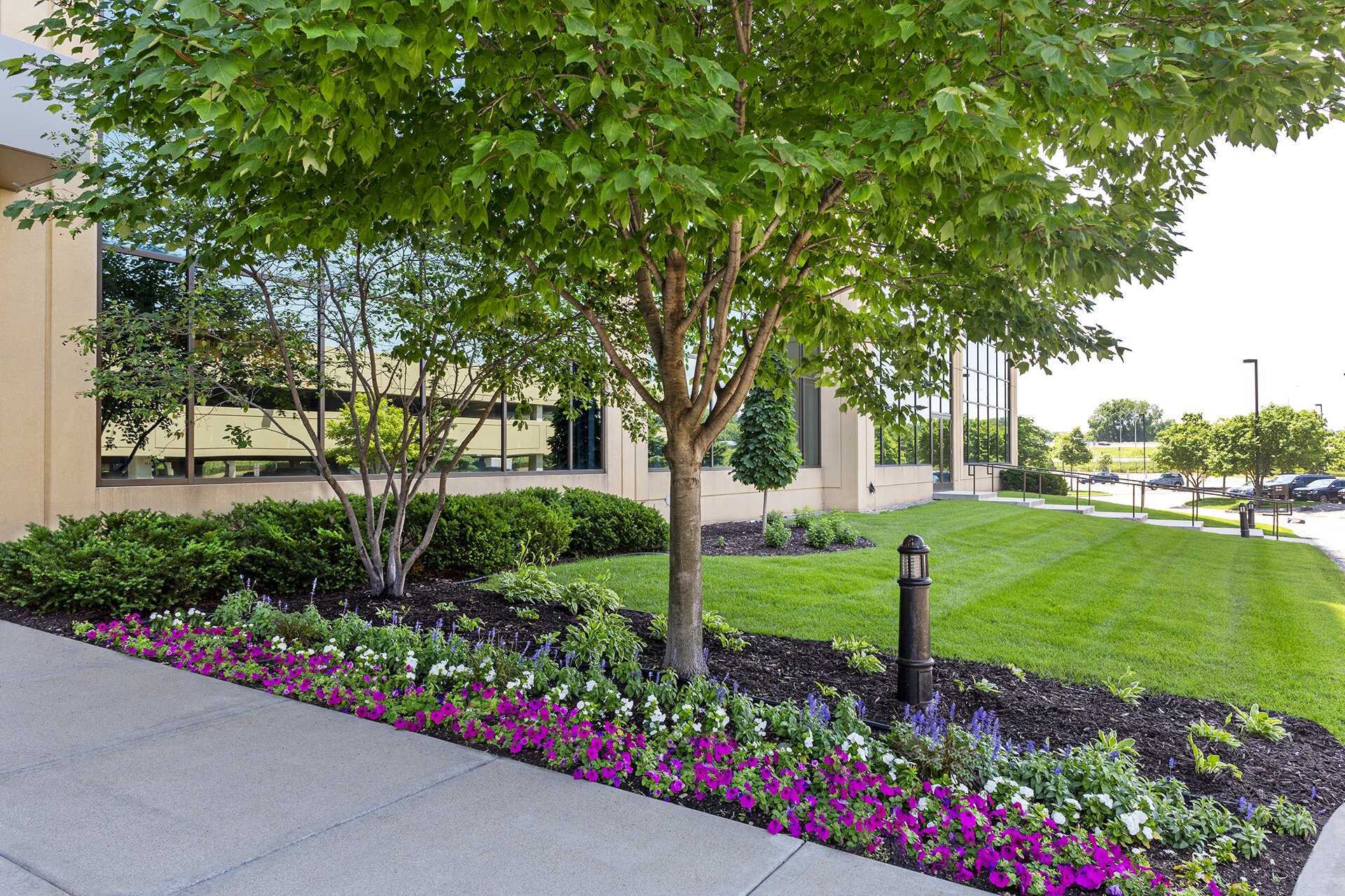 Lush garden with trees and colorful flowers