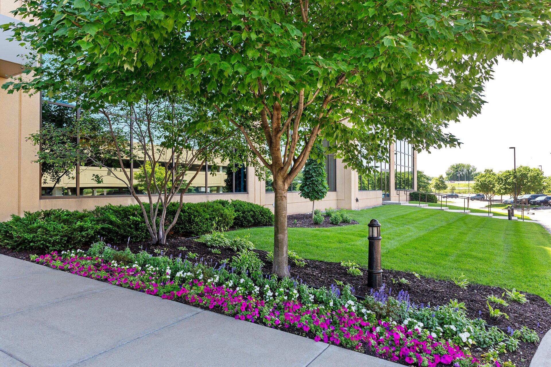 Lush garden with flowers and trees outside building.