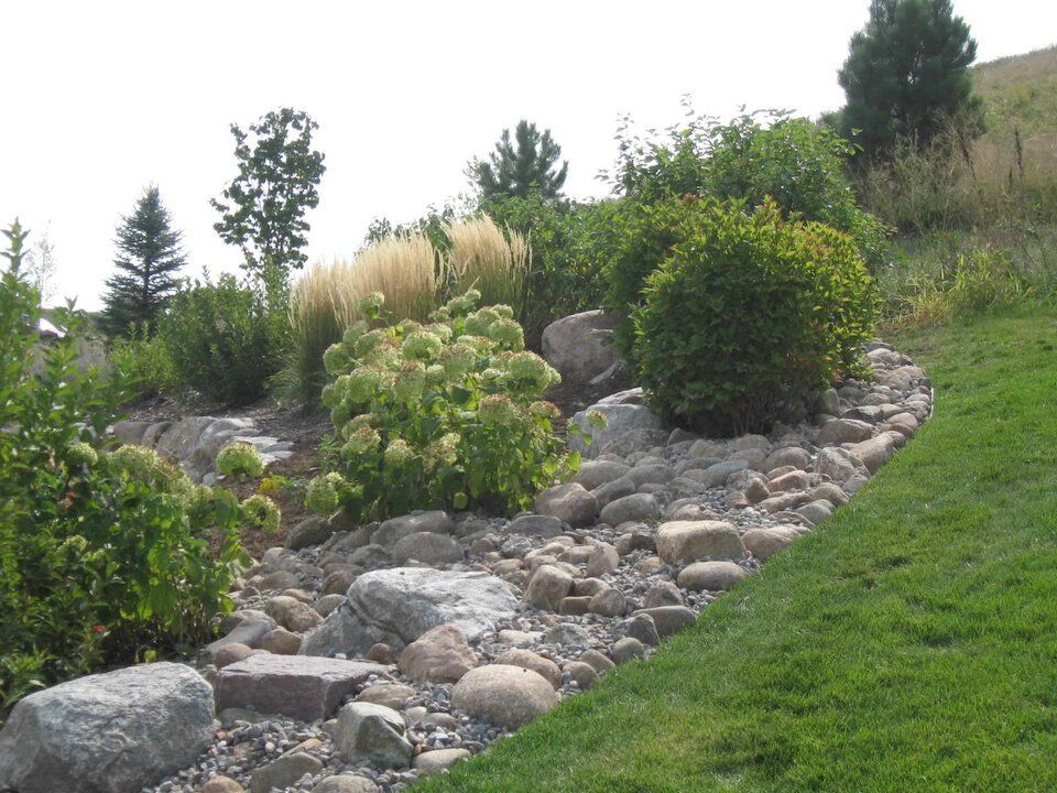 Rocky garden with green shrubs and plants