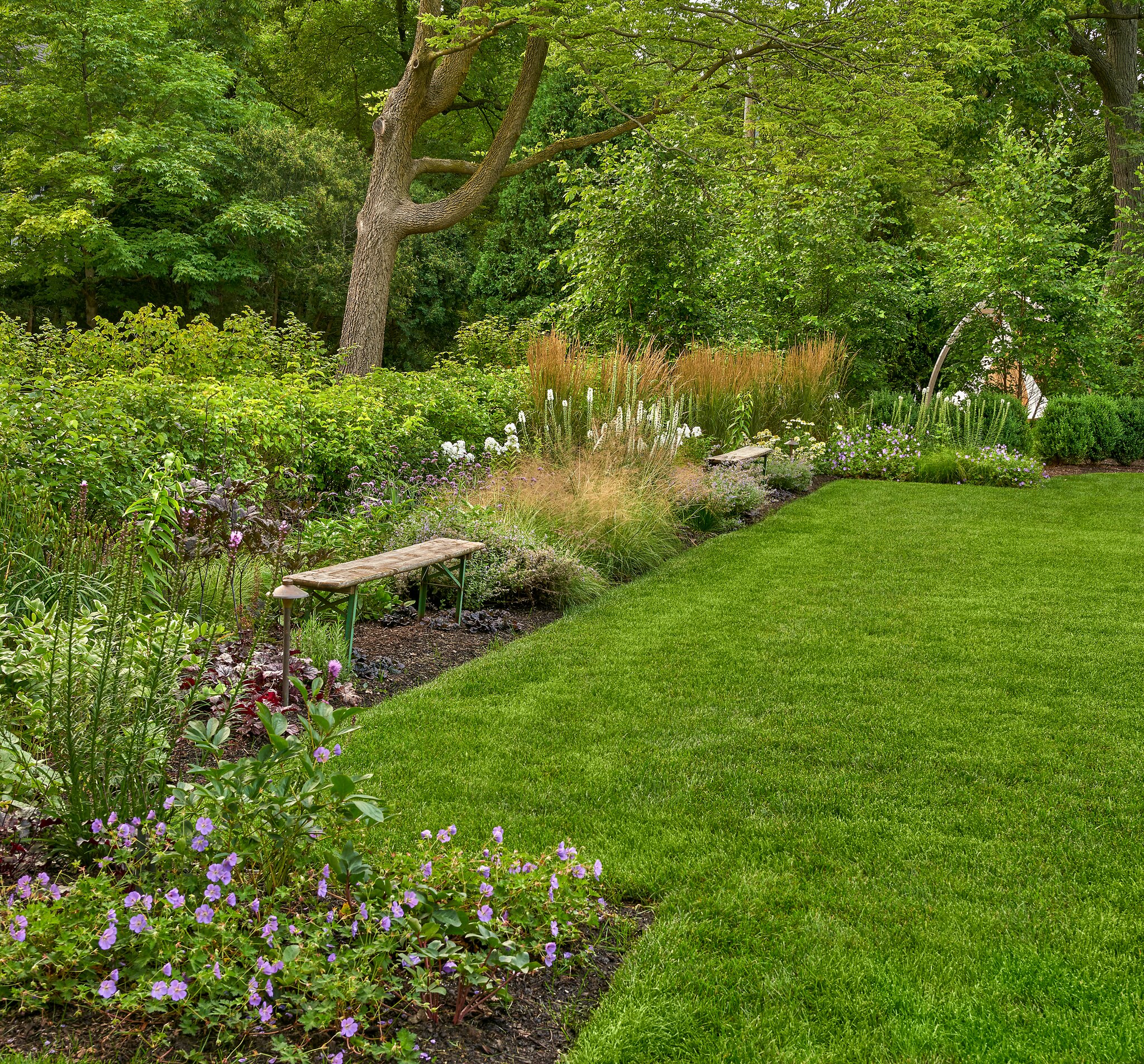 Serene garden with benches and colorful flowers.
