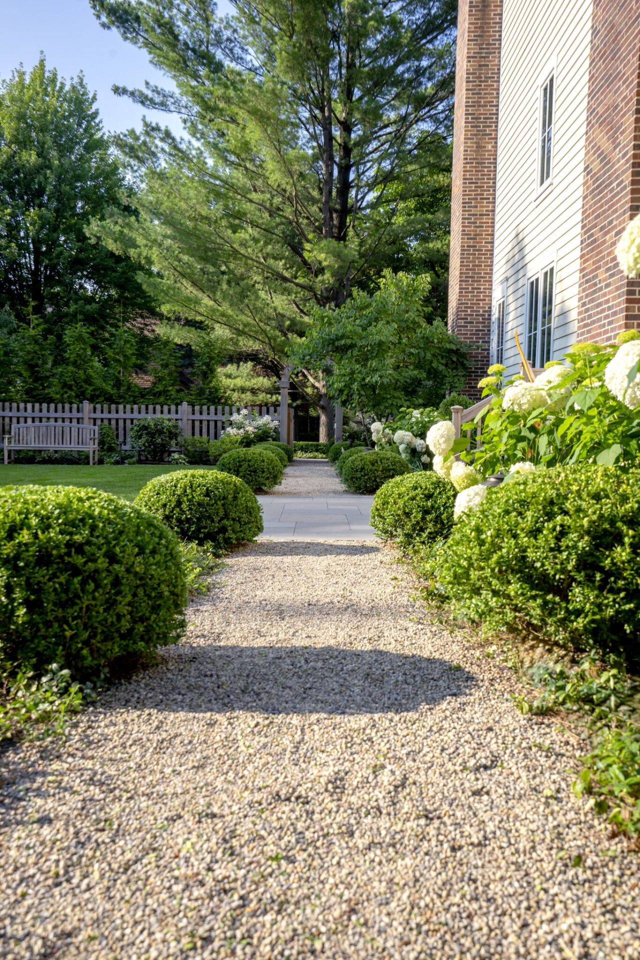 Garden path with greenery and wooden fence