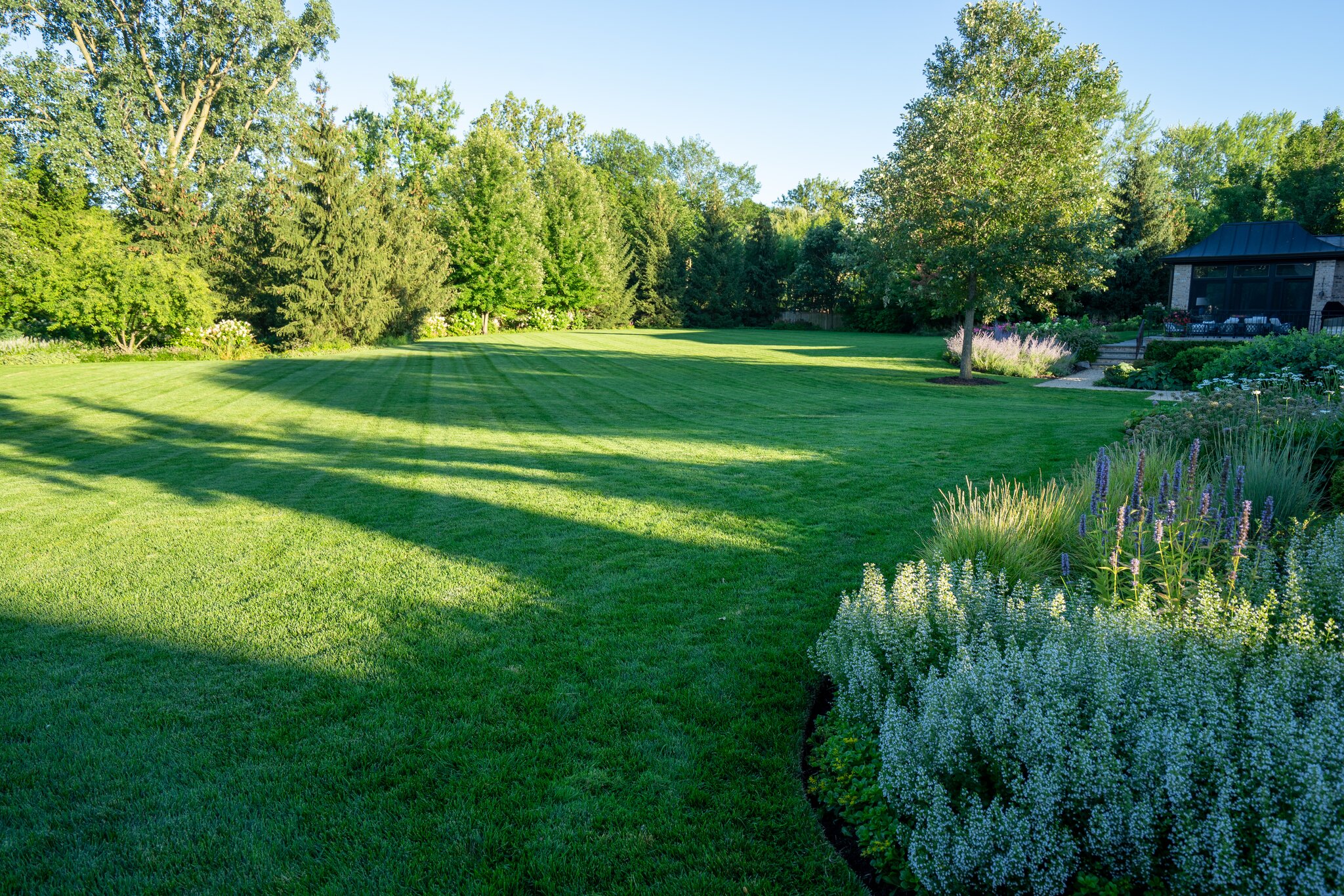 Spacious backyard lawn with colorful flower garden.