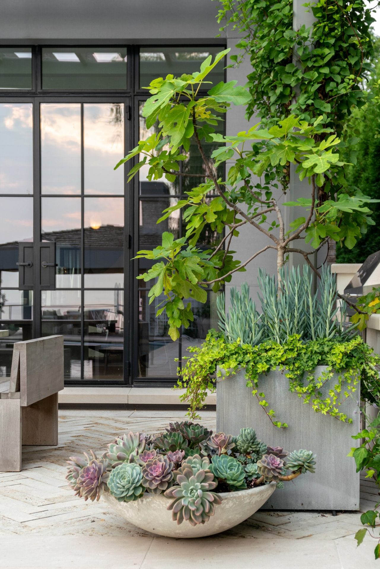 Outdoor patio with potted succulents and greenery.
