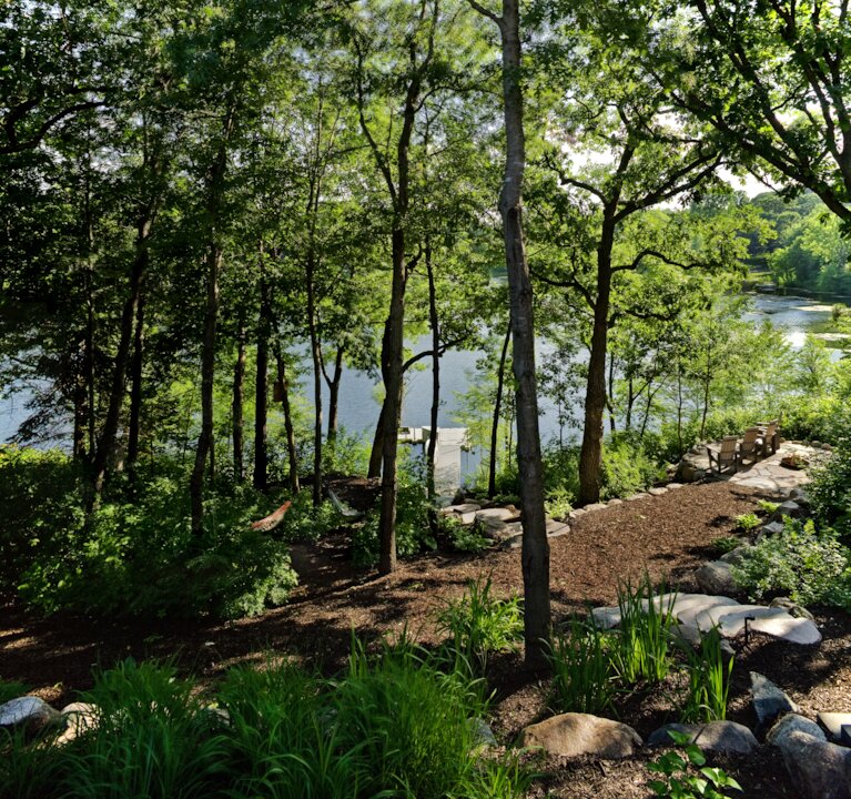 Serene forest path leading to a tranquil lake.