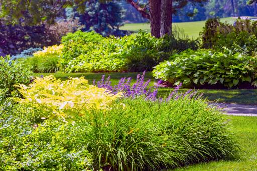 Lush garden with colorful flowers and greenery.