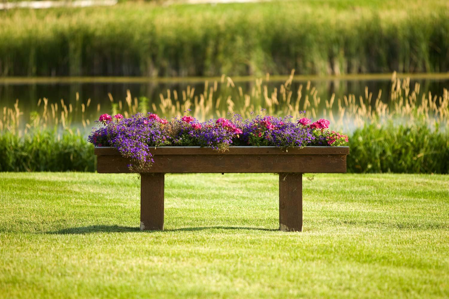 Flower planter by the lake on grassy lawn.
