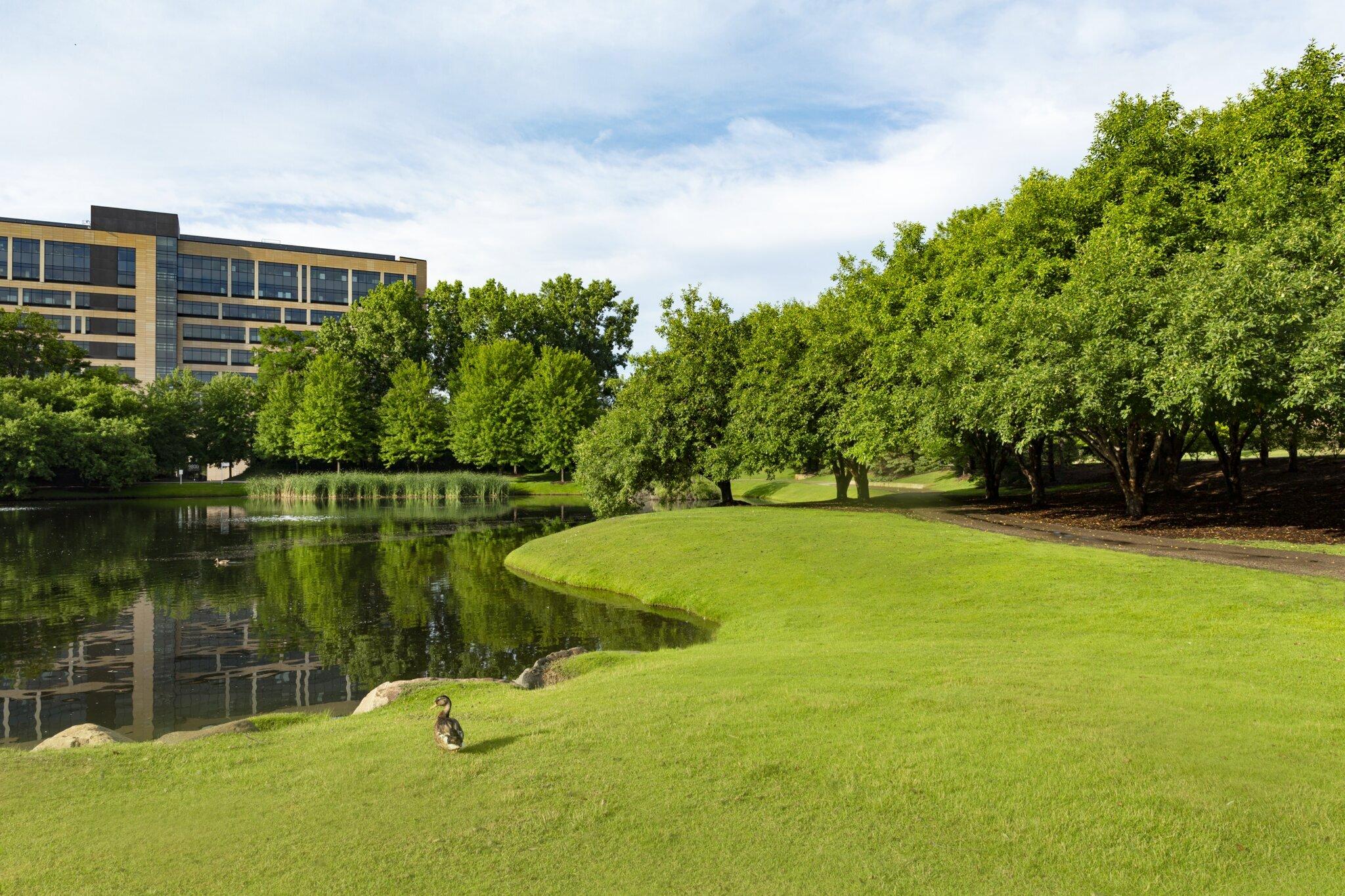 Office building near pond and trees