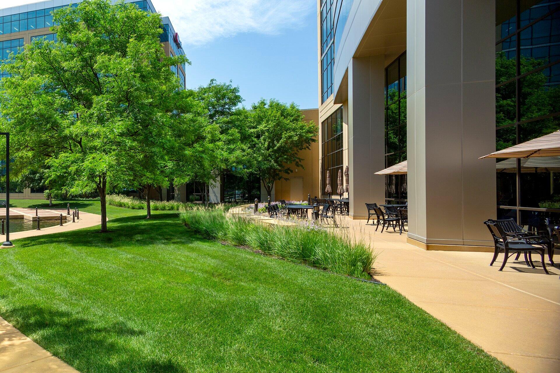 Modern office outdoor courtyard with seating and trees.