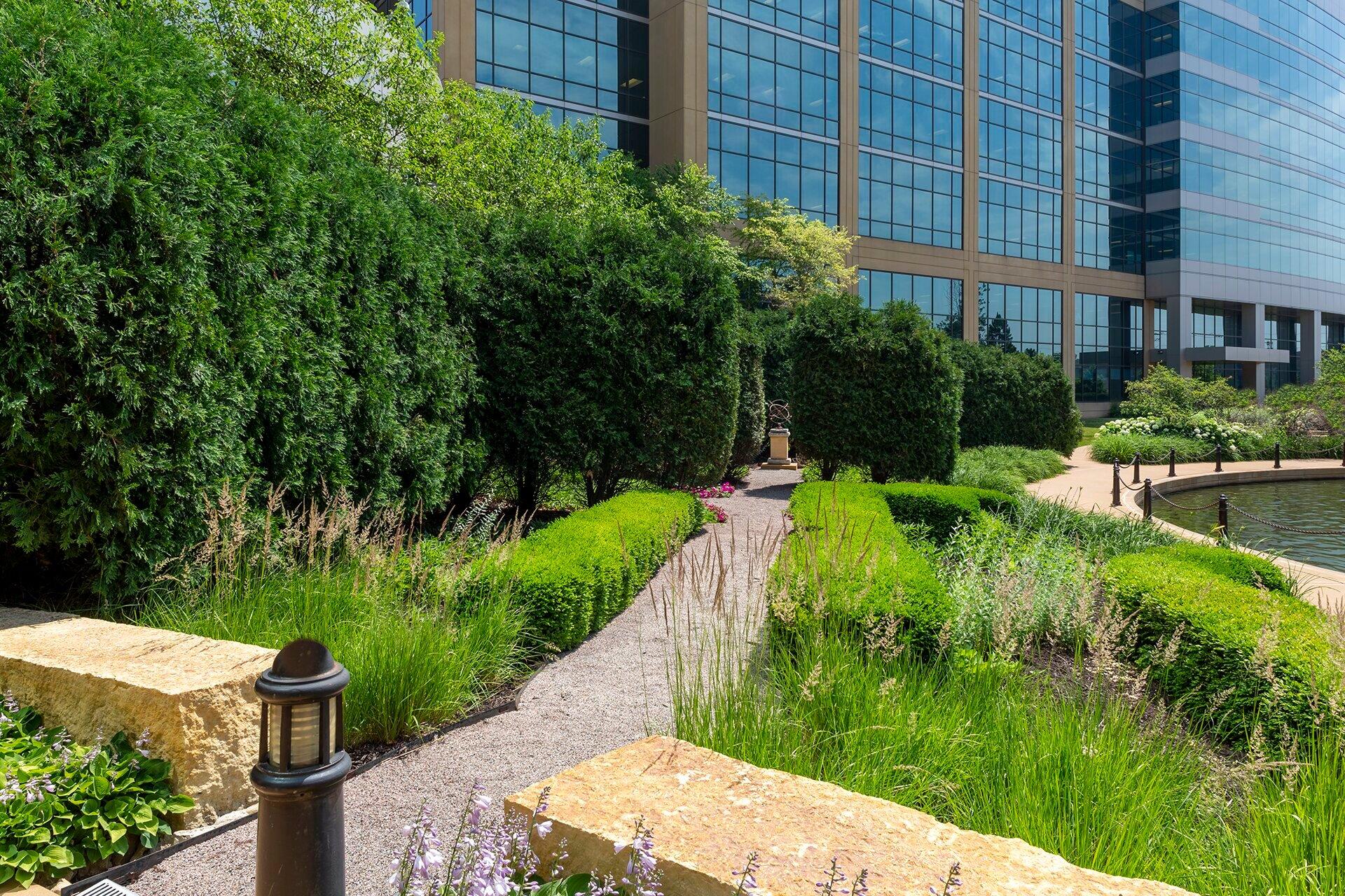 Lush garden path beside modern office building.