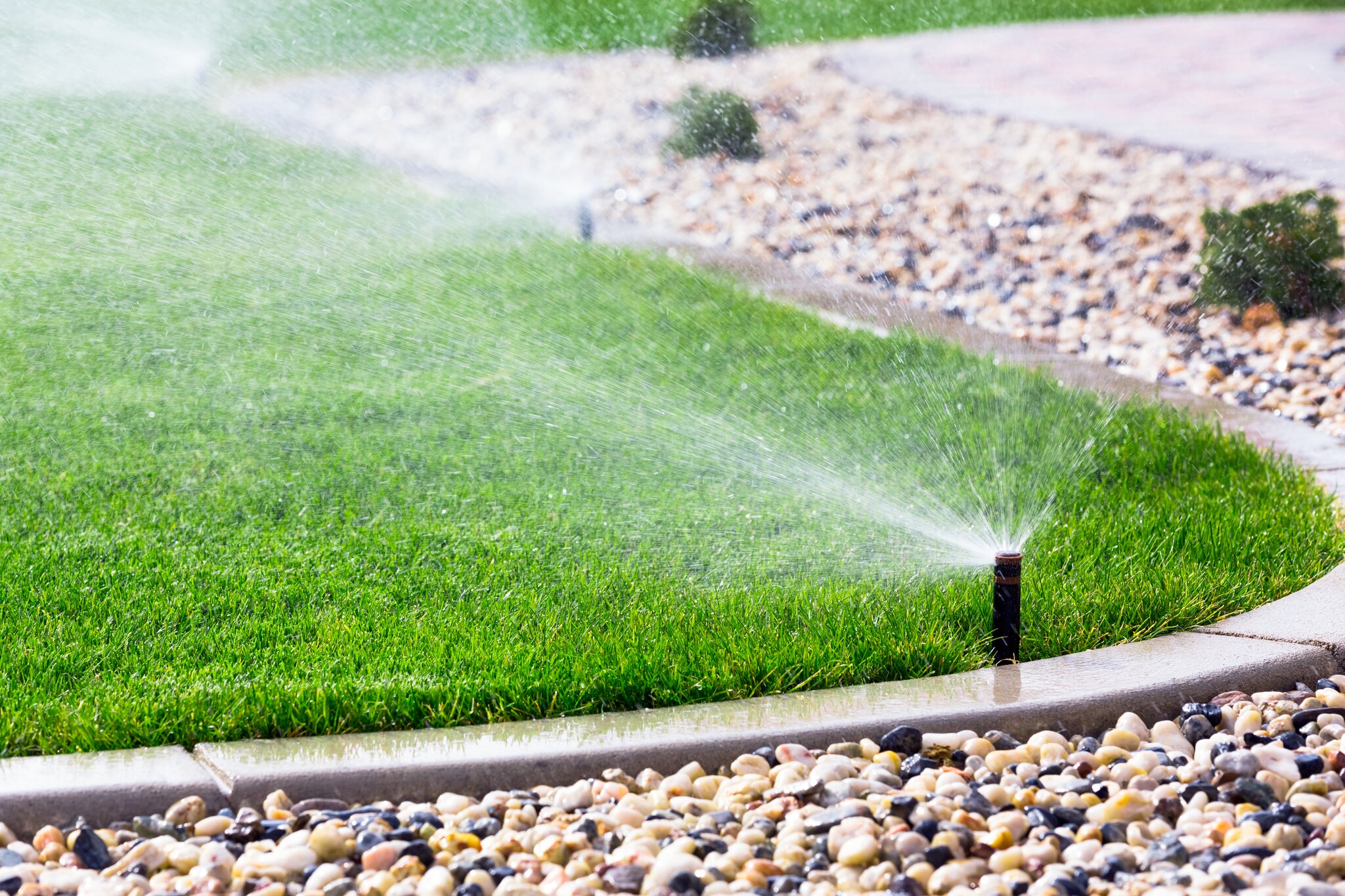 Sprinkler watering a lush green lawn