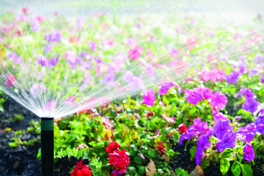 Sprinkler watering colorful flower garden