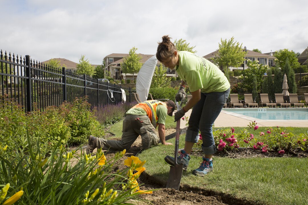 Gardeners landscaping near pool and flowers.