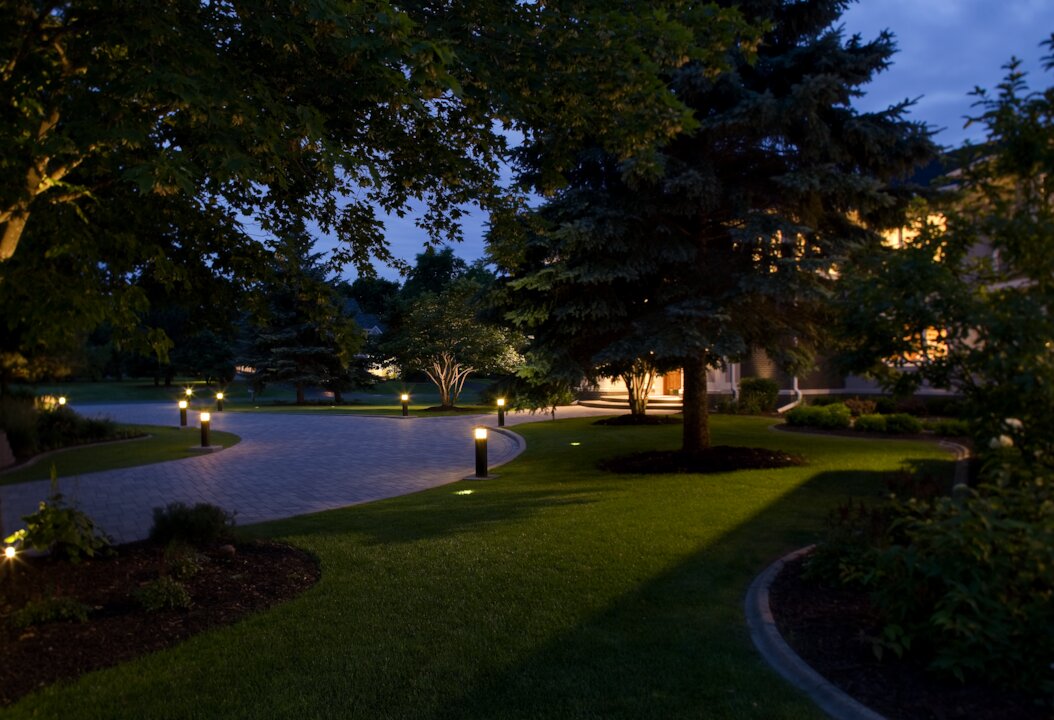 Nighttime garden path with trees and lights