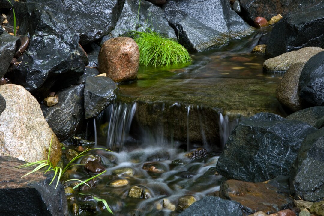Small waterfall in rocky stream with greenery.