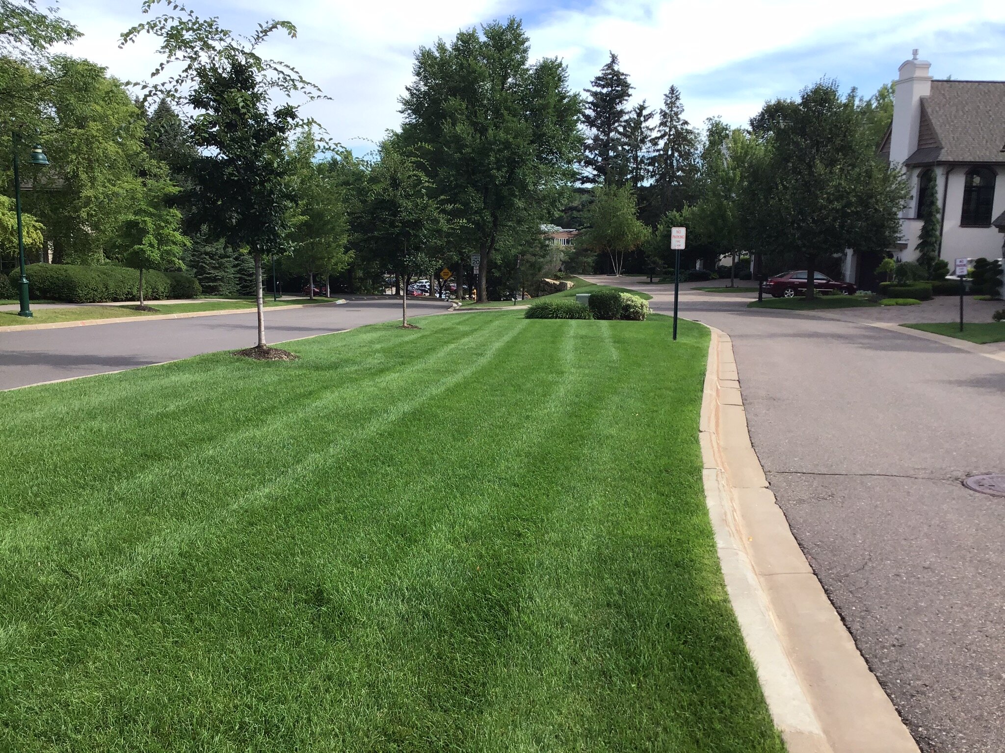 Manicured lawn alongside suburban street with trees.