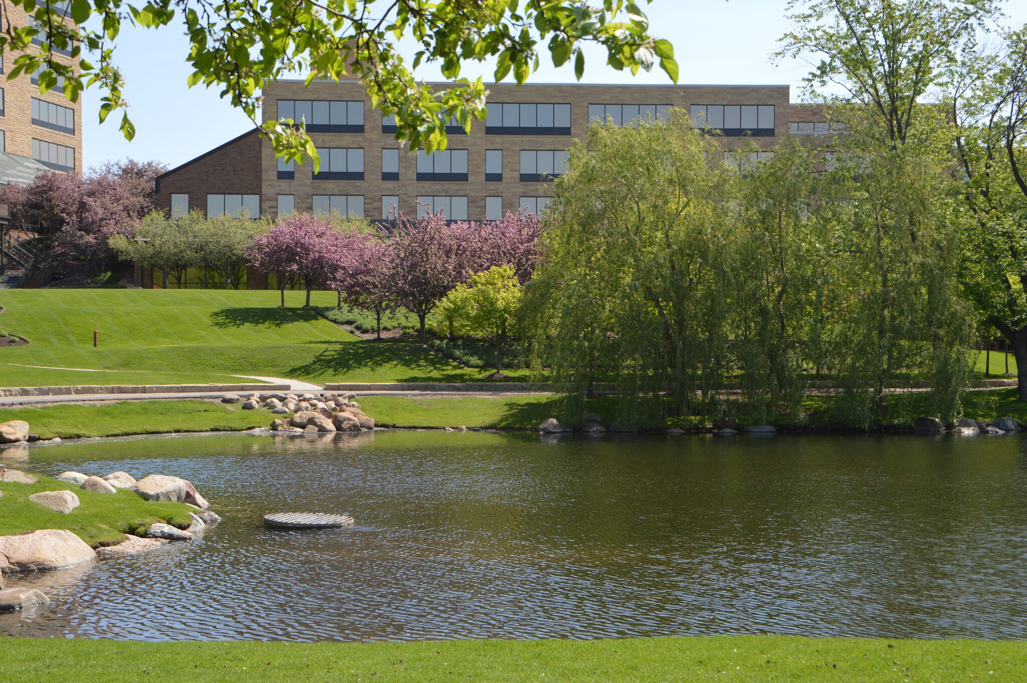 Serene campus landscape with pond and trees.