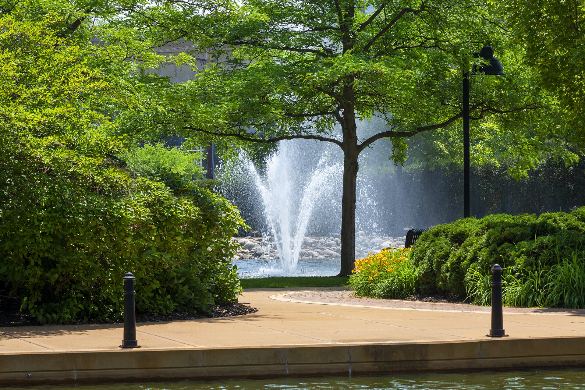 Park with fountain, tree, and colorful flowers.