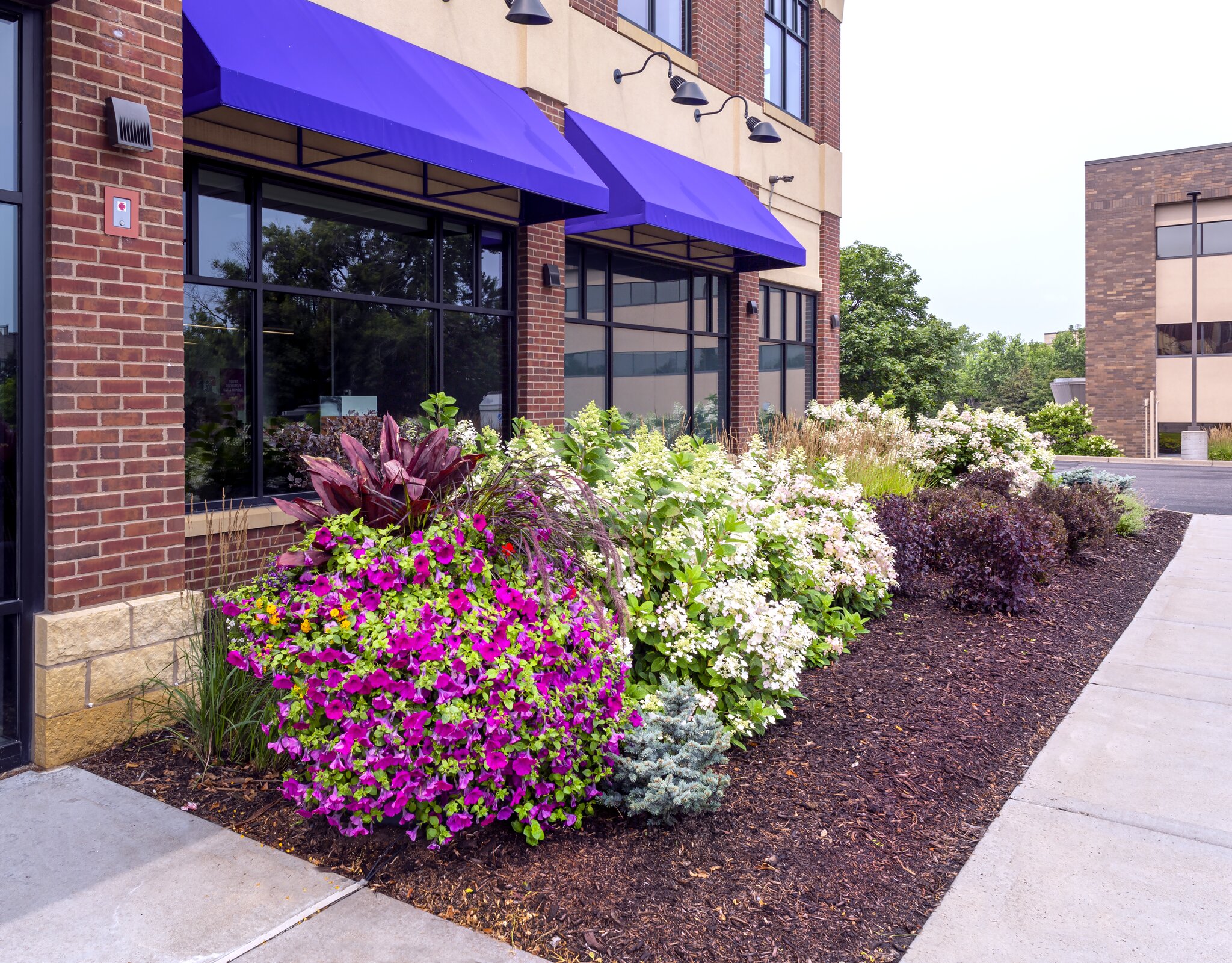 Colorful flower beds outside brick building with awnings.