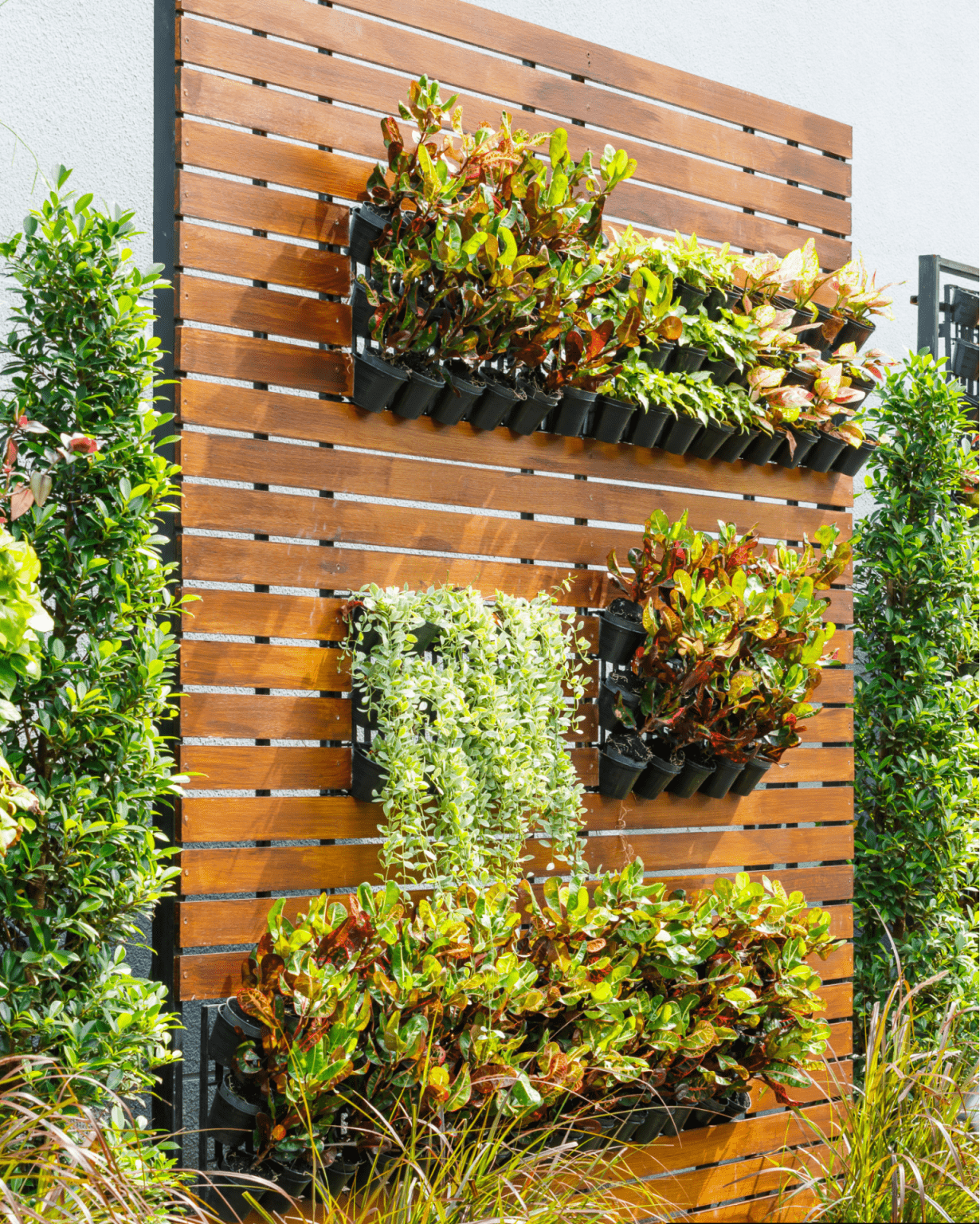 Vertical Gardening Guide | Southview Design