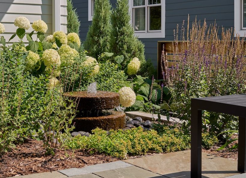 Backyard garden with hydrangeas and water fountain.