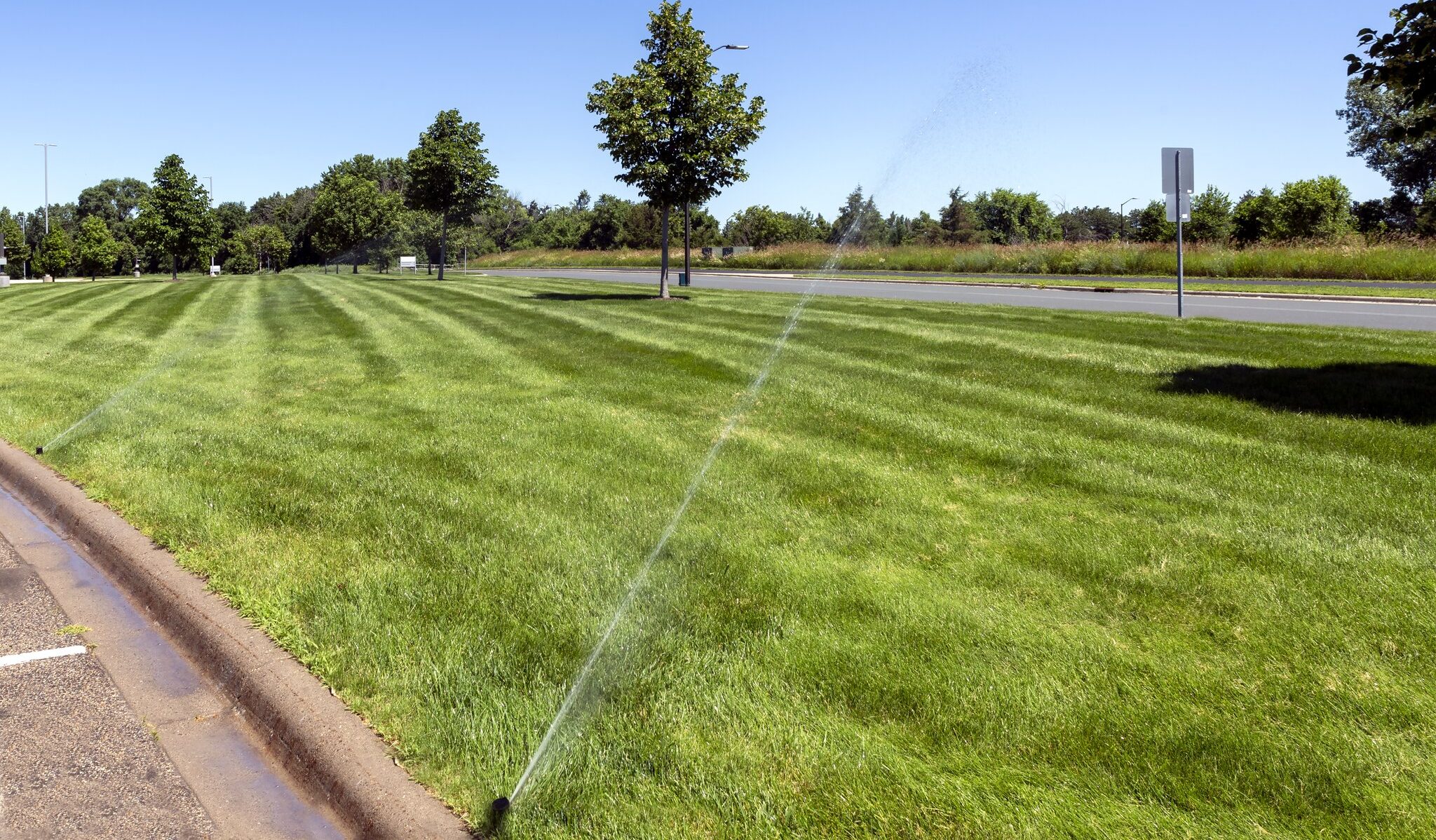 Sprinkler watering green lawn by roadside trees.