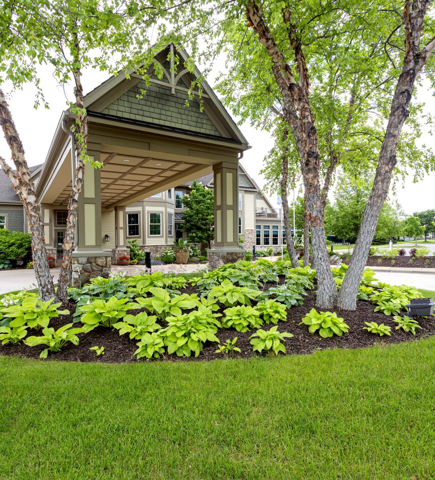 Front yard garden with green plants and trees.