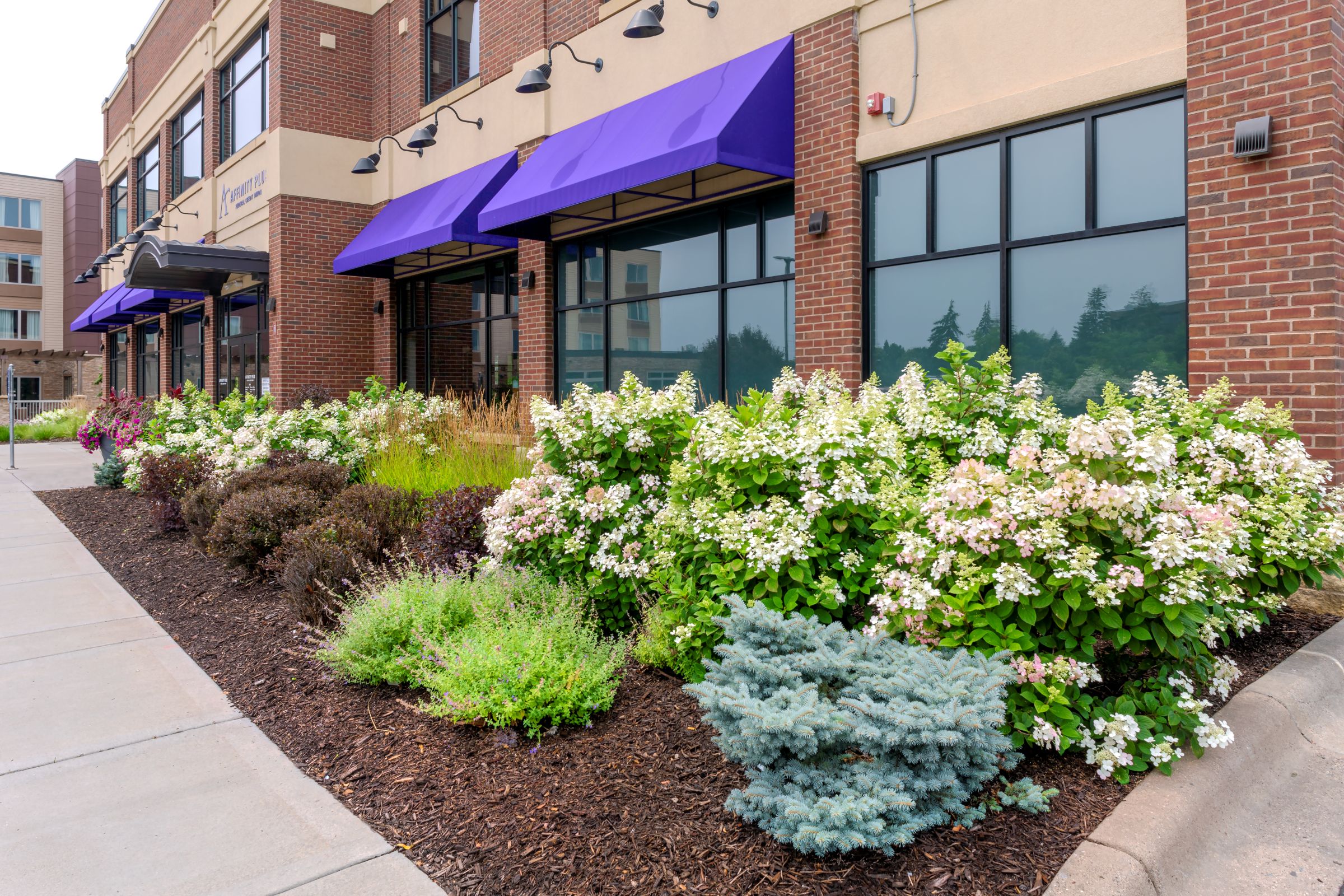 Building with purple awnings and landscaped bushes.