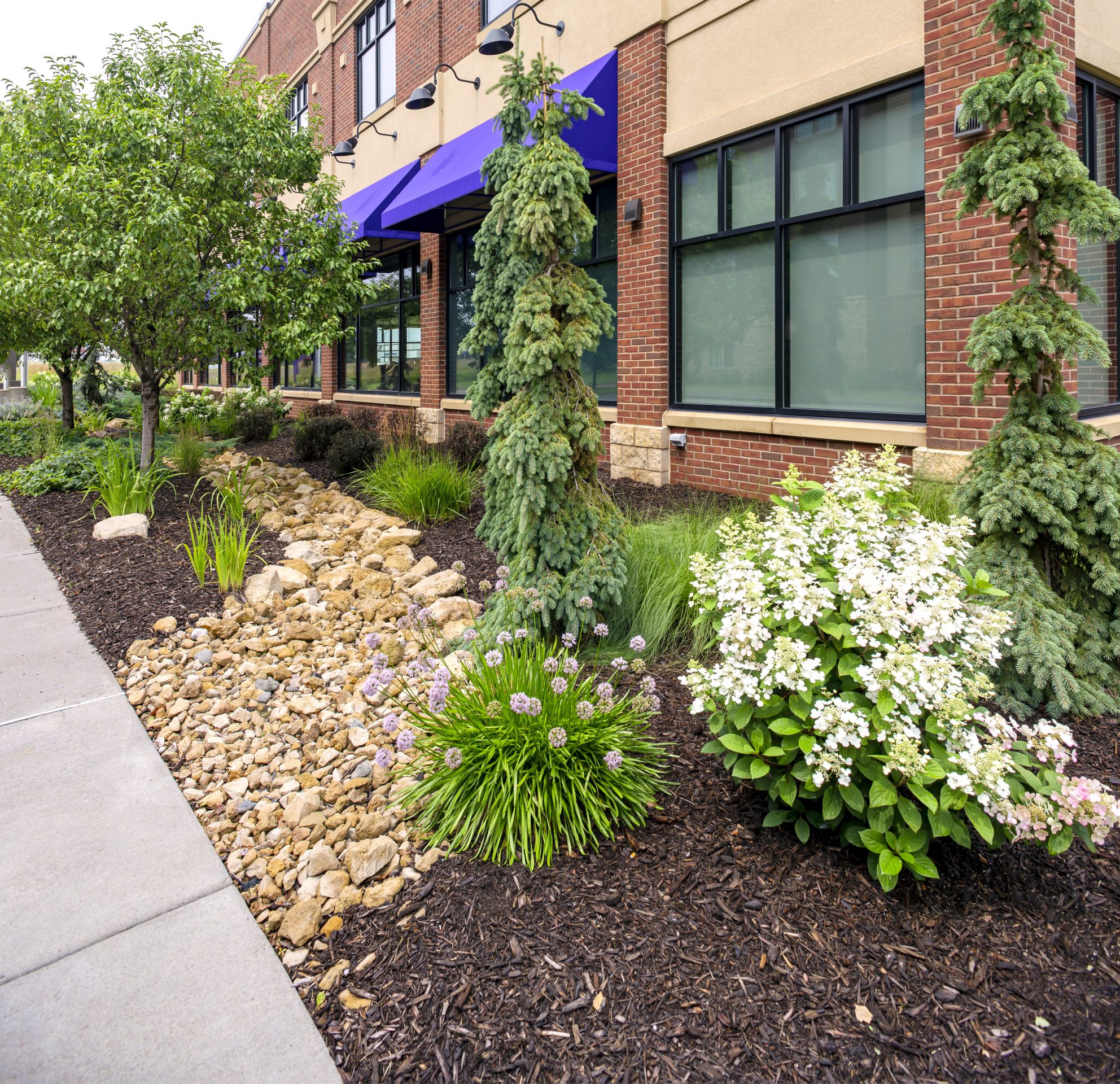Urban landscaping with trees, shrubs, and rocky path.