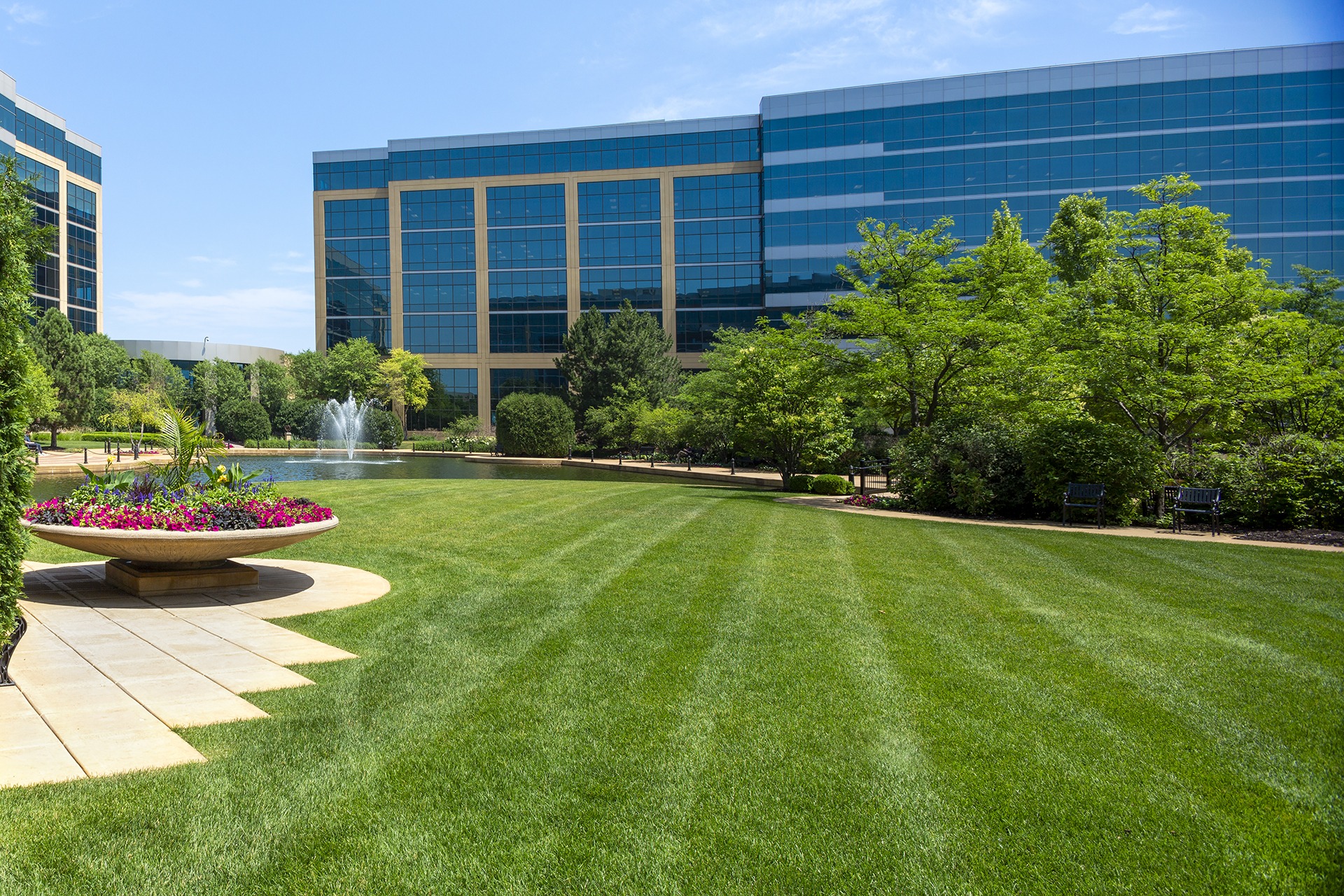 Modern office park with lawn and fountain