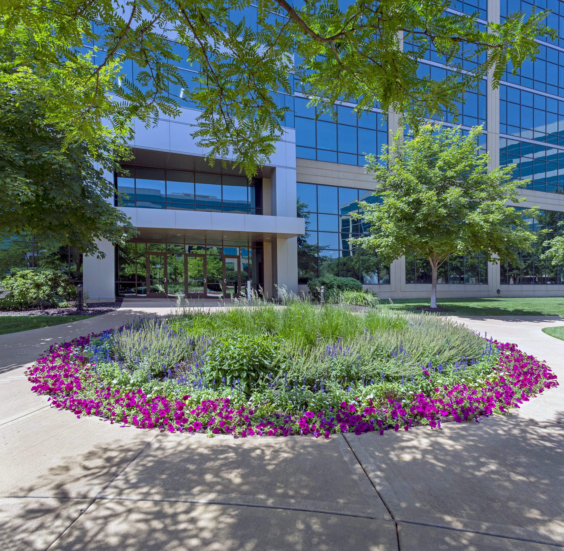 Office building with landscaped garden entrance.