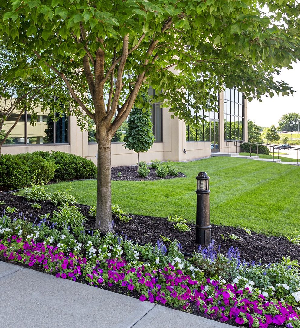 Office garden with blooming flowers and trees
