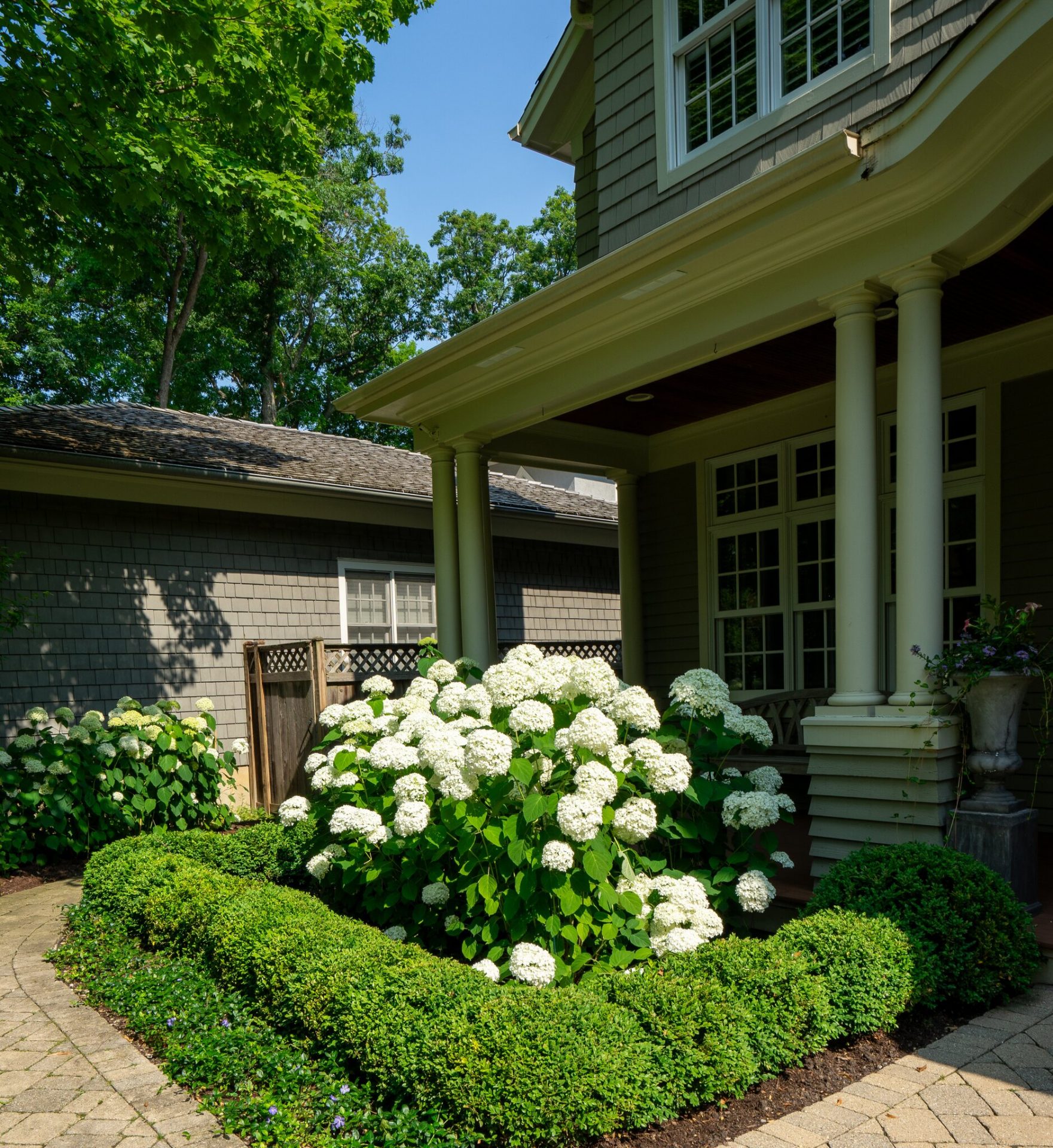 Front porch with blooming white hydrangeas.