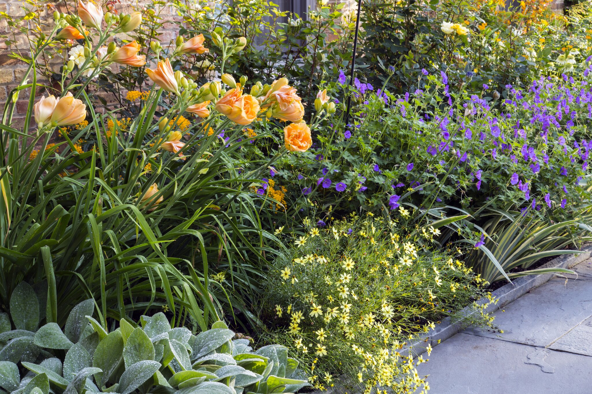Colorful garden with orange, purple, yellow flowers