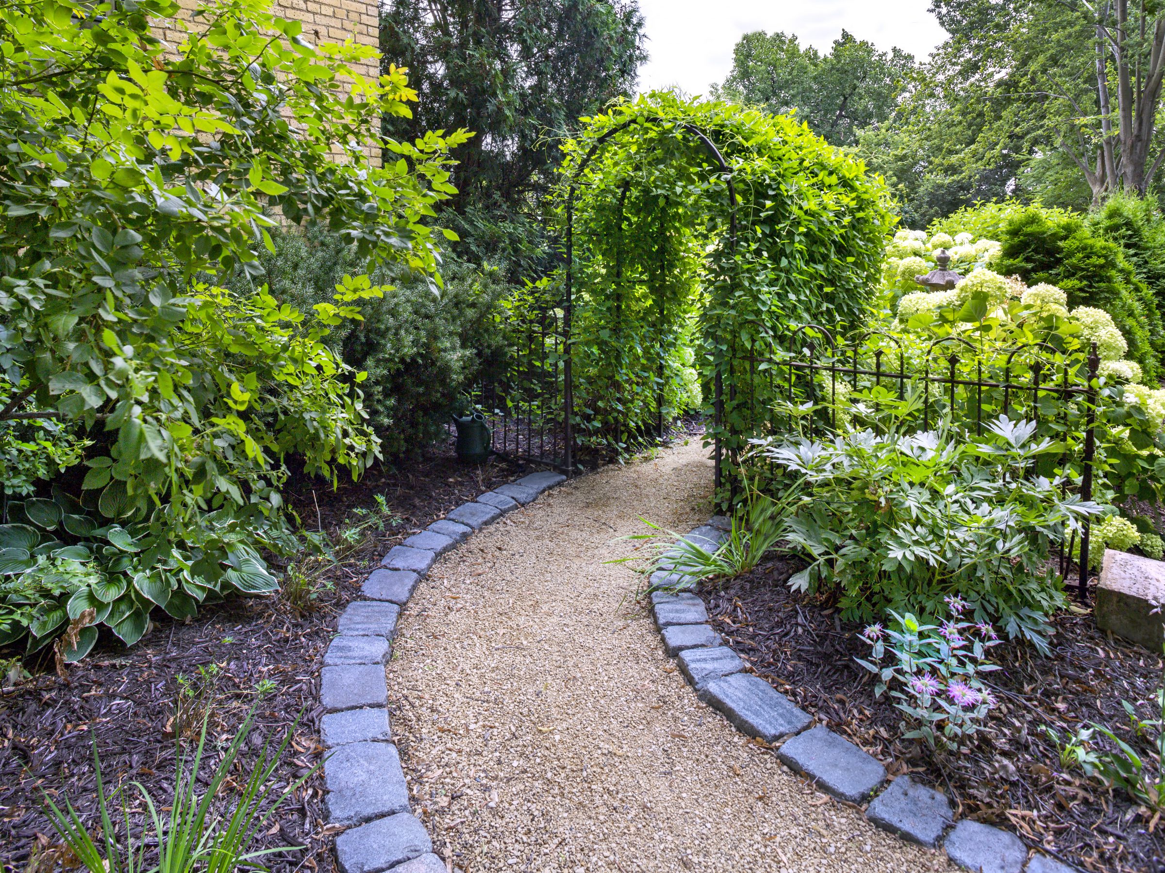 Lush garden path with stone edging and foliage.