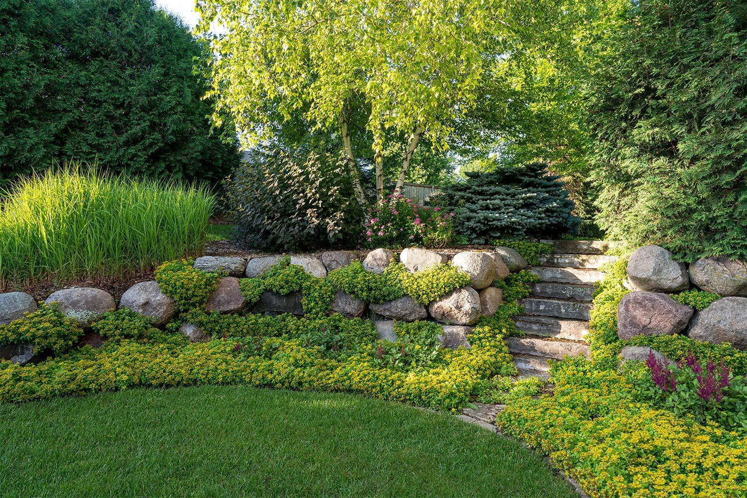 Lush garden with stone steps and greenery.