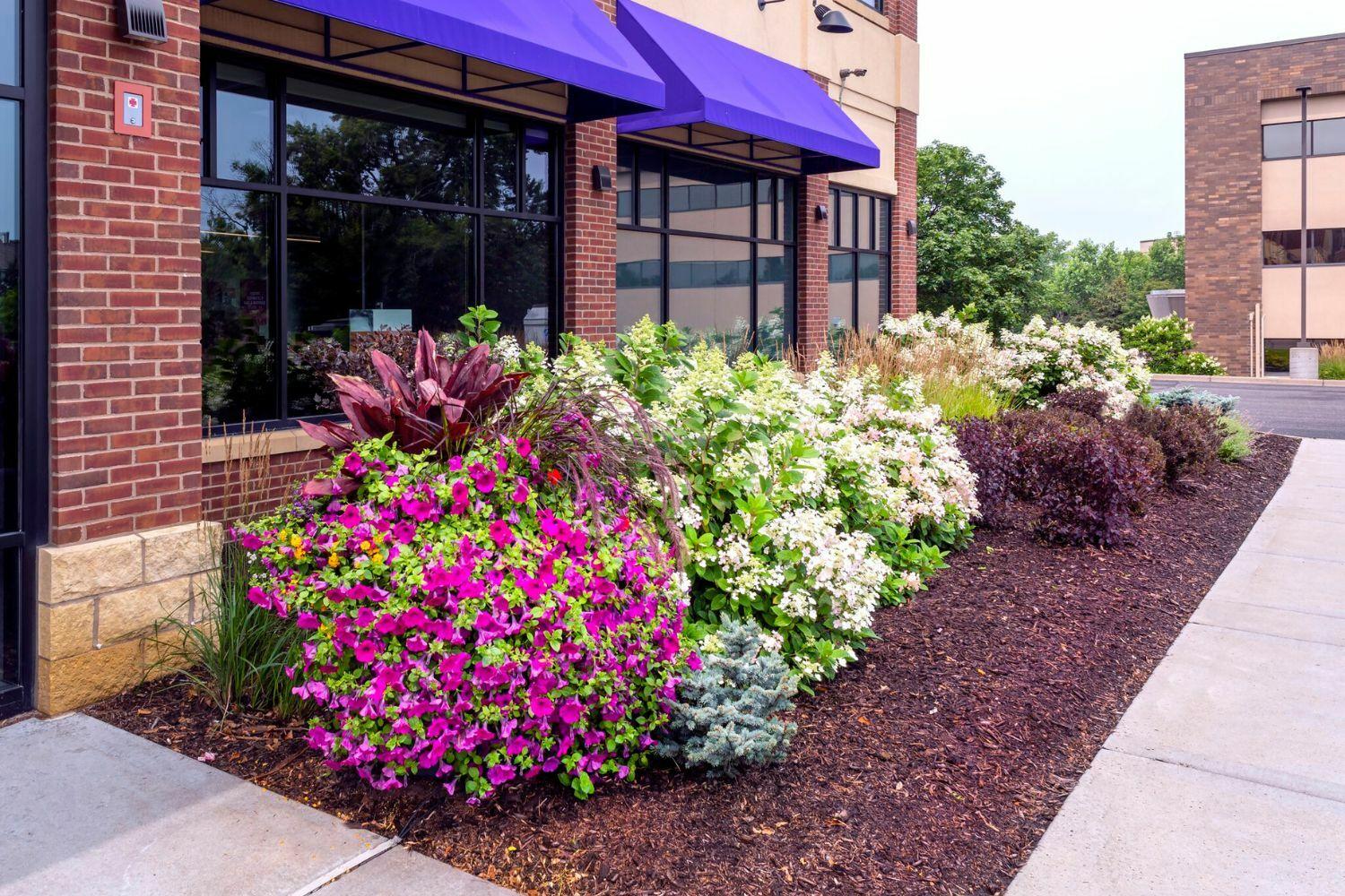 Colorful storefront flower garden with purple awnings.
