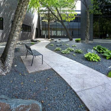 Modern garden path with bench and greenery.