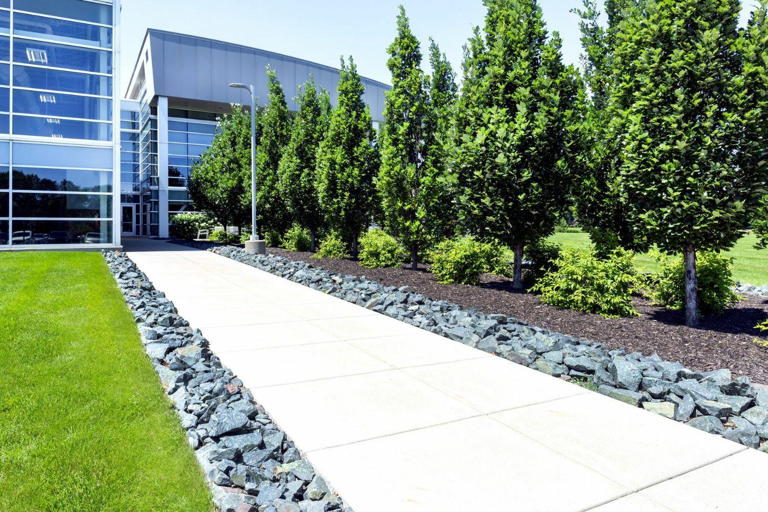 Modern building exterior with pathway and trees