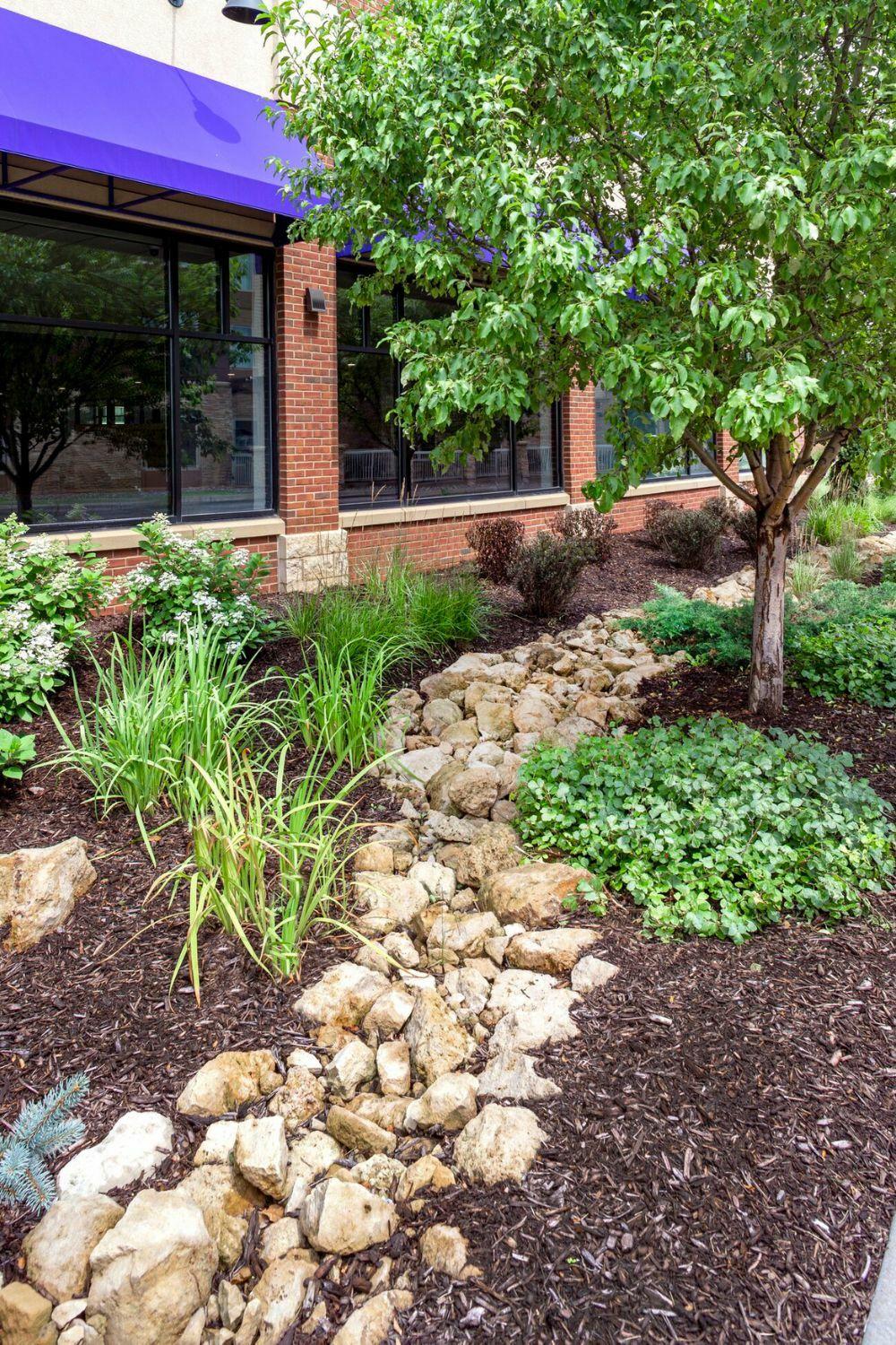 Lush garden with plants and rocks by building.