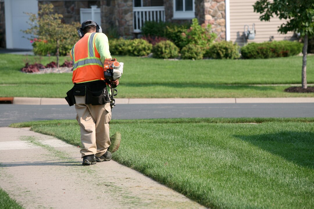 Worker trimming sidewalk grass with weed trimmer.