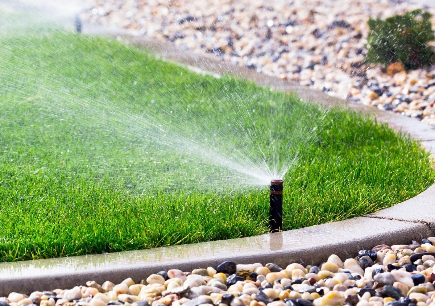 Lawn sprinkler watering grass near stone path.
